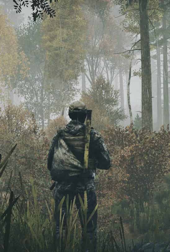 DayZ background